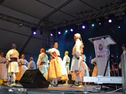 Festival de Folkore en Mula